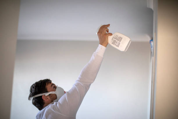 Best DIY Mold Remediation Support Services in Meadowdale, WA