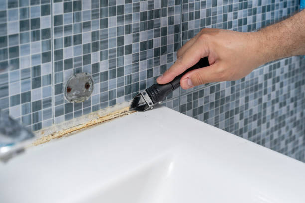 Best Industrial Mold Remediation in Meadowdale, WA