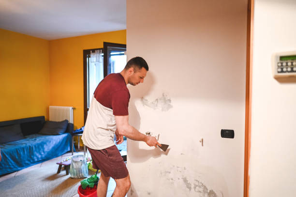 Best Post-Remediation Services in Meadowdale, WA